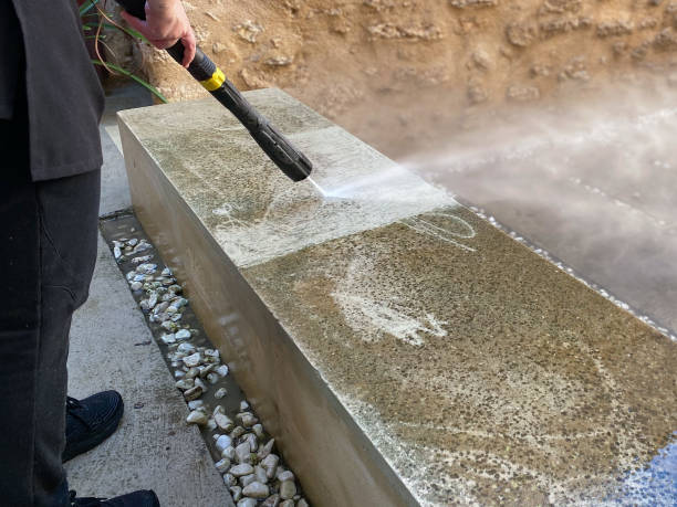 Best Roof Pressure Washing  in Northdale, FL